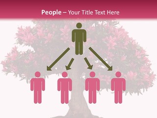 Portrait Elderly Calm PowerPoint Template