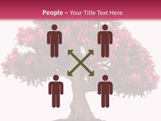 Portrait Elderly Calm PowerPoint Template