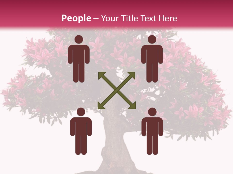 Portrait Elderly Calm PowerPoint Template