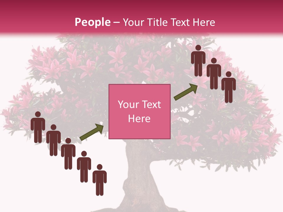 Portrait Elderly Calm PowerPoint Template