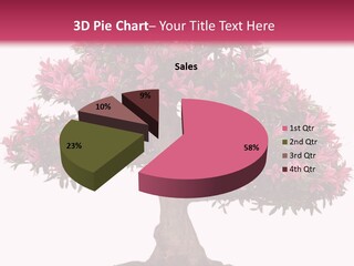 Portrait Elderly Calm PowerPoint Template