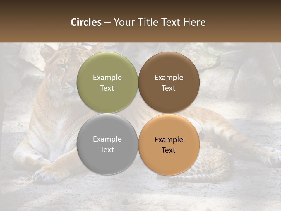 Sunrise Beach Coast PowerPoint Template