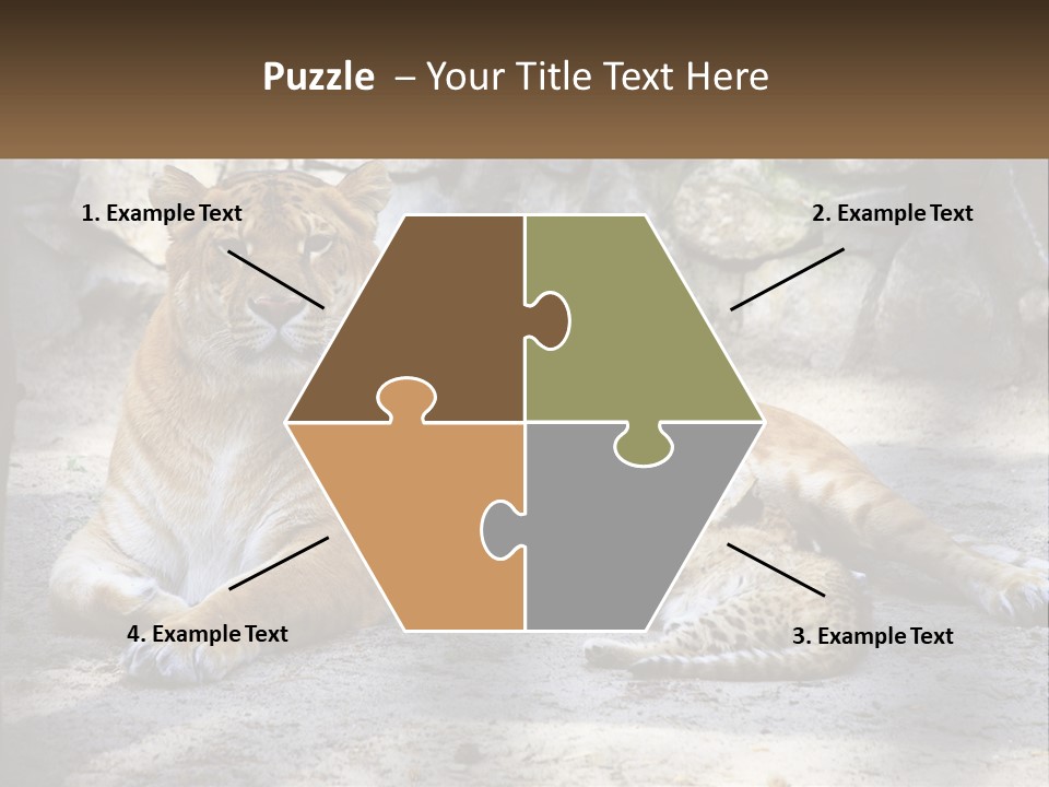 Sunrise Beach Coast PowerPoint Template