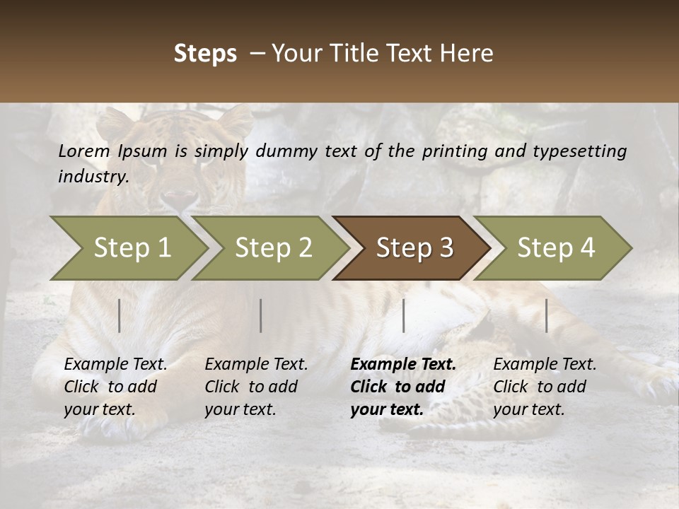 Sunrise Beach Coast PowerPoint Template