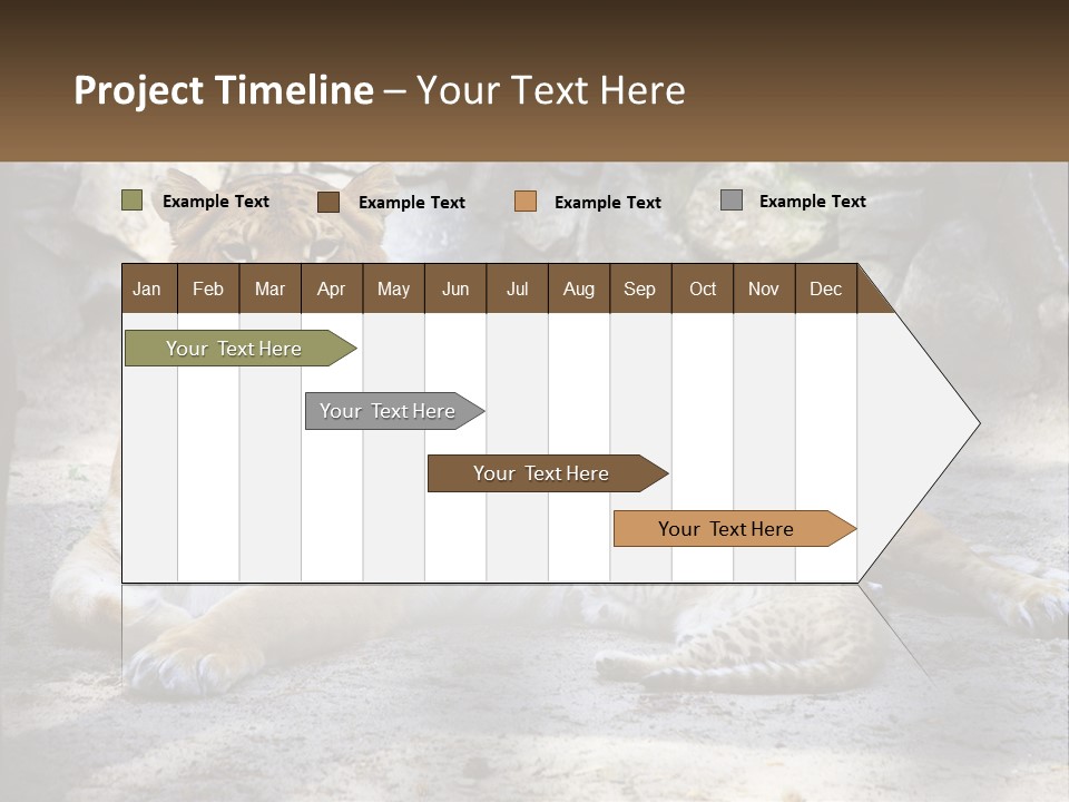 Sunrise Beach Coast PowerPoint Template