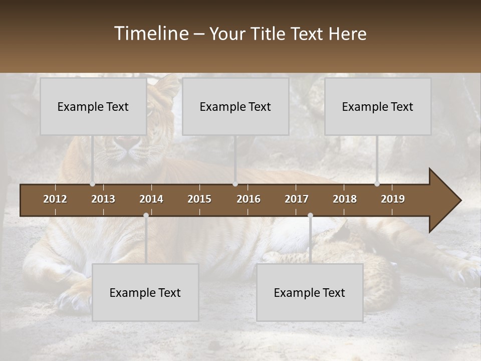 Sunrise Beach Coast PowerPoint Template