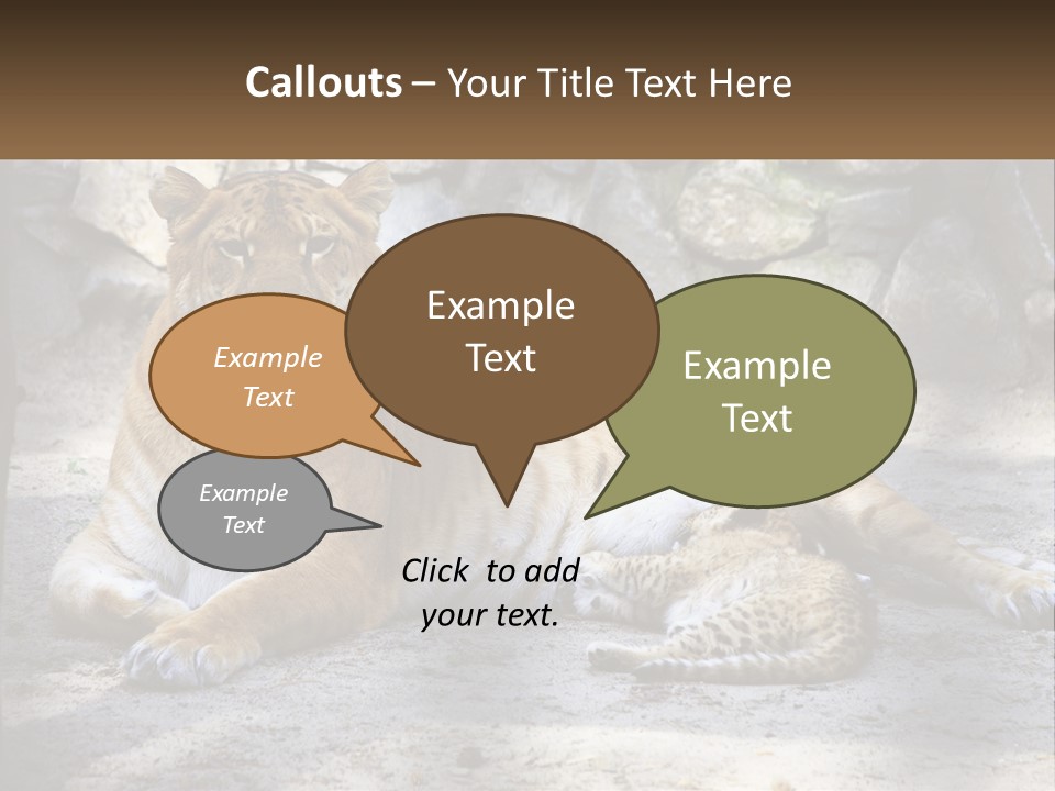 Sunrise Beach Coast PowerPoint Template