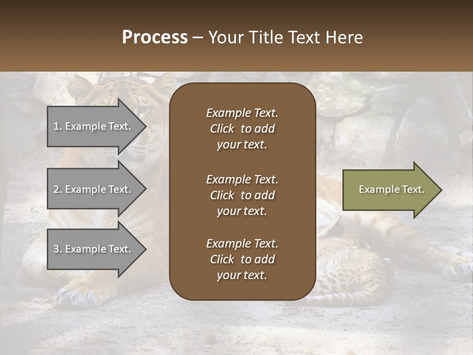 Sunrise Beach Coast PowerPoint Template