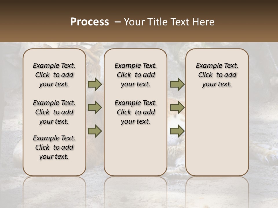 Sunrise Beach Coast PowerPoint Template