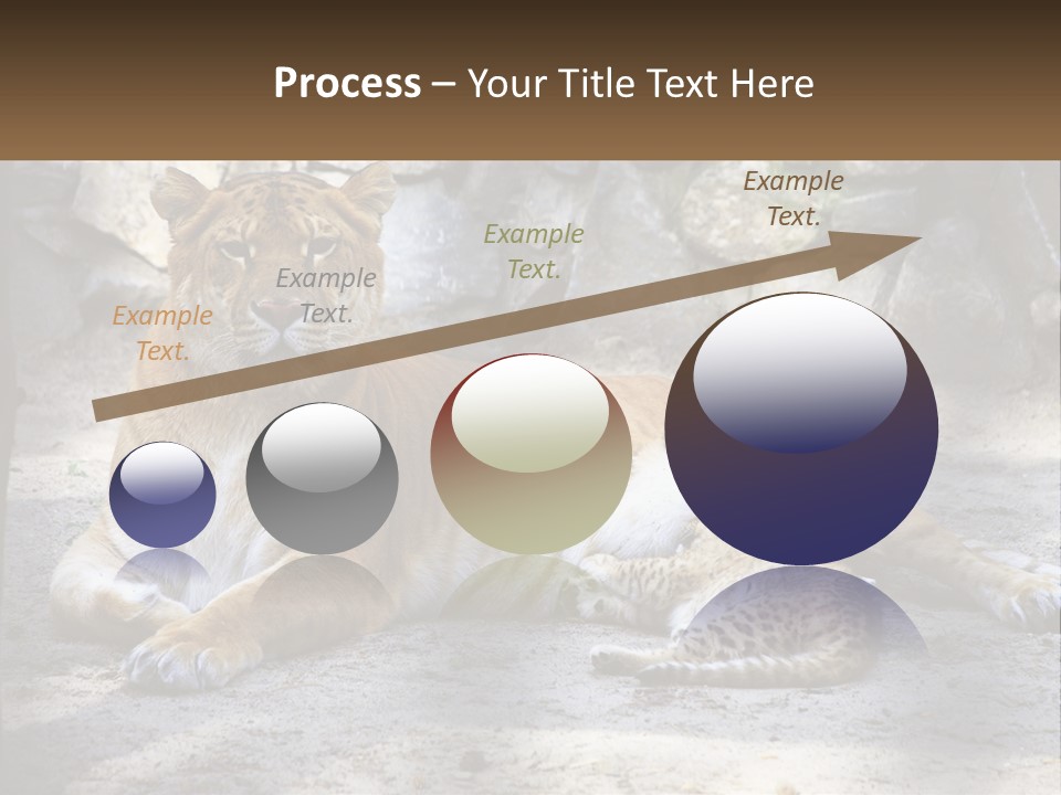 Sunrise Beach Coast PowerPoint Template