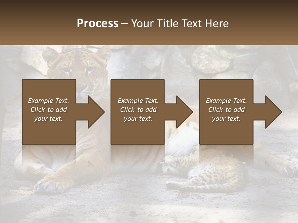 Sunrise Beach Coast PowerPoint Template