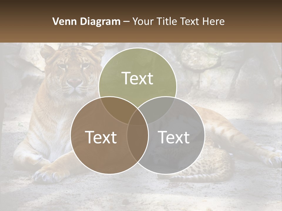 Sunrise Beach Coast PowerPoint Template