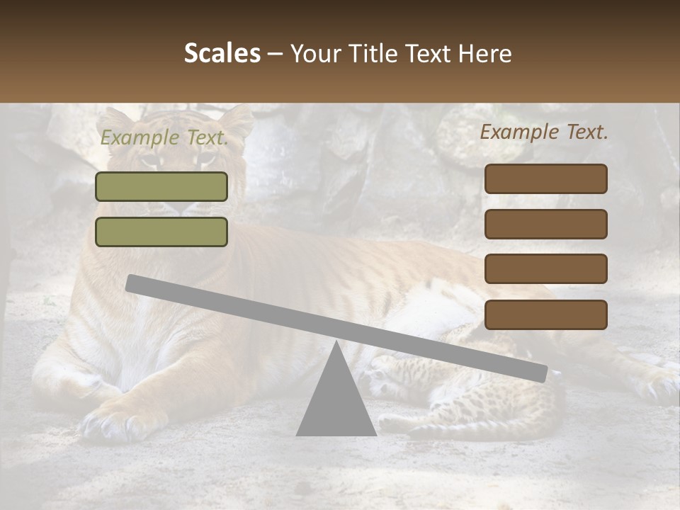 Sunrise Beach Coast PowerPoint Template