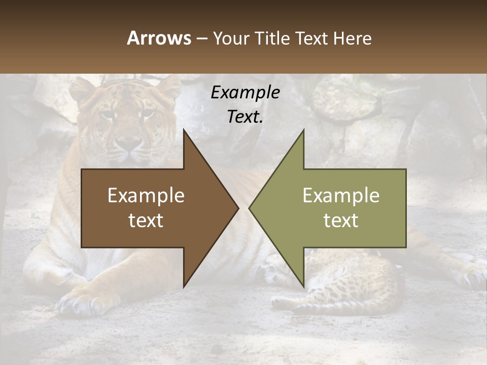 Sunrise Beach Coast PowerPoint Template