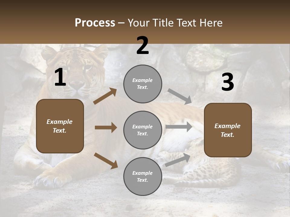 Sunrise Beach Coast PowerPoint Template