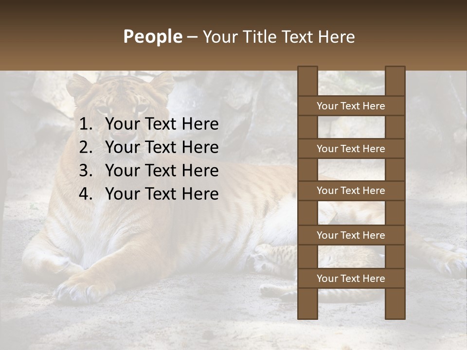 Sunrise Beach Coast PowerPoint Template