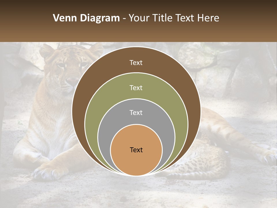 Sunrise Beach Coast PowerPoint Template