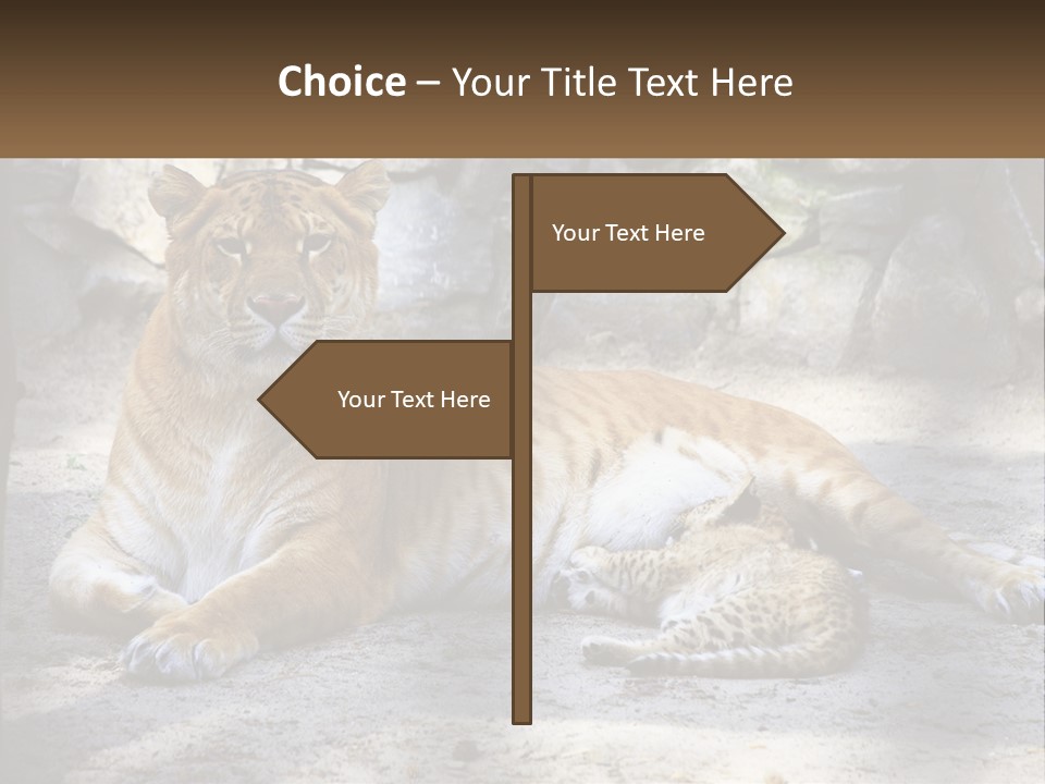 Sunrise Beach Coast PowerPoint Template