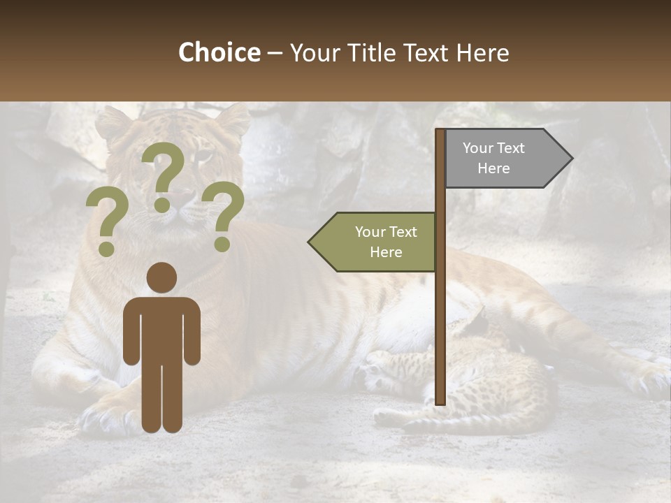 Sunrise Beach Coast PowerPoint Template