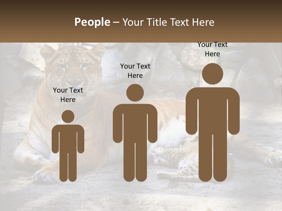 Sunrise Beach Coast PowerPoint Template