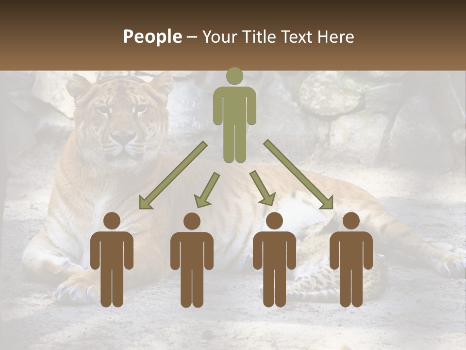 Sunrise Beach Coast PowerPoint Template