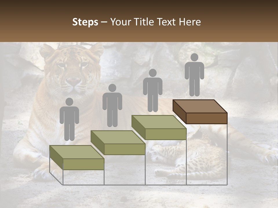 Sunrise Beach Coast PowerPoint Template