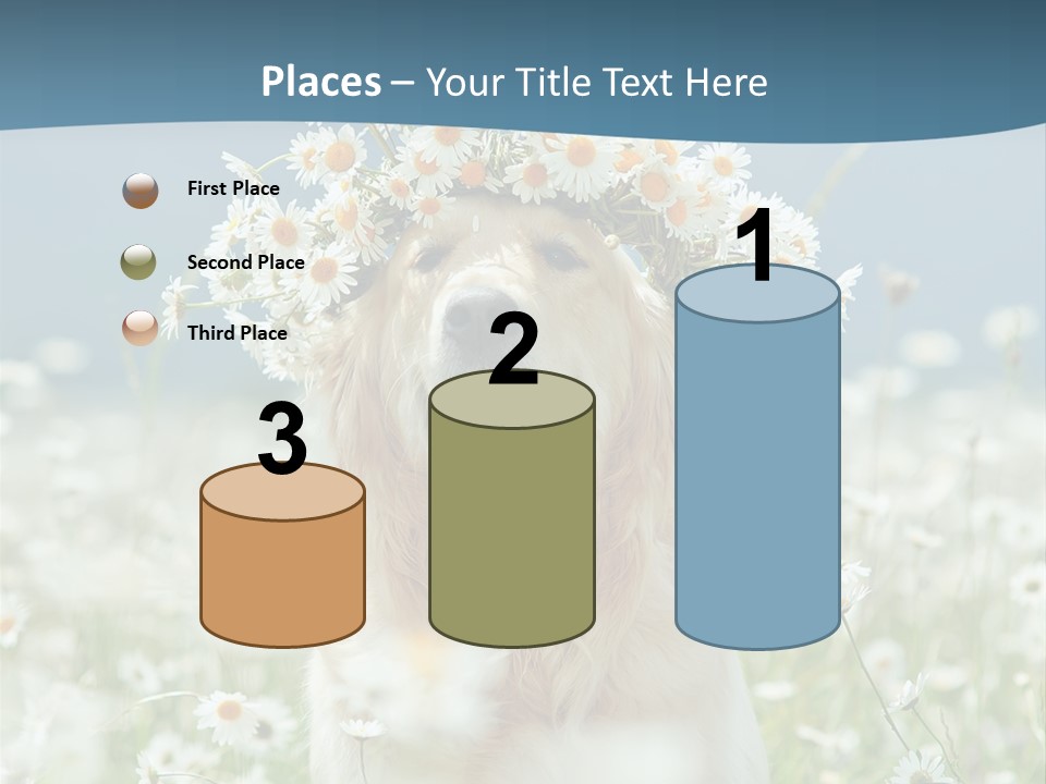 Single Lifestyle Sand PowerPoint Template