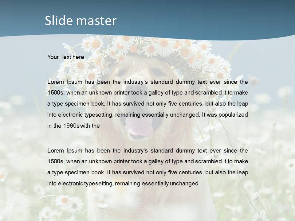 Single Lifestyle Sand PowerPoint Template