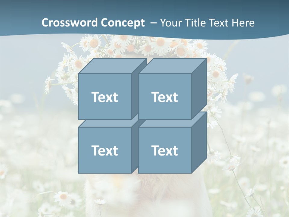 Single Lifestyle Sand PowerPoint Template