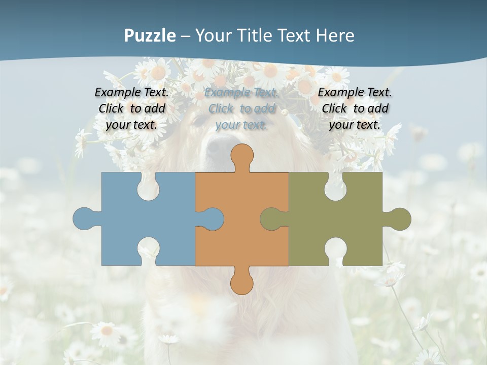 Single Lifestyle Sand PowerPoint Template