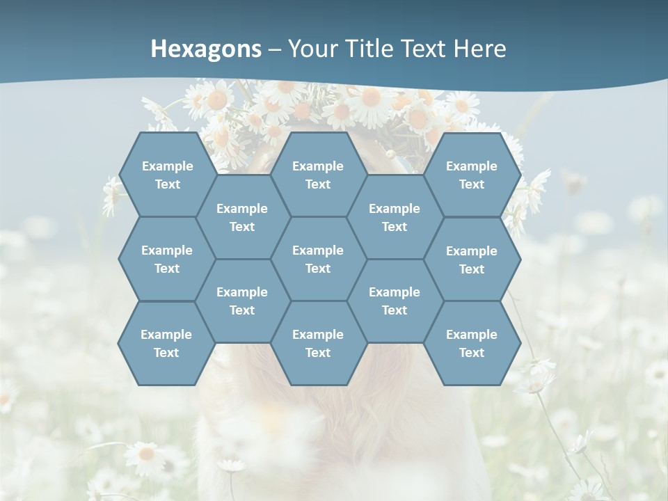 Single Lifestyle Sand PowerPoint Template