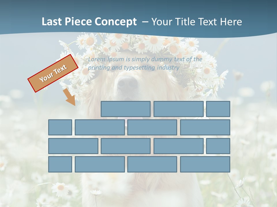 Single Lifestyle Sand PowerPoint Template