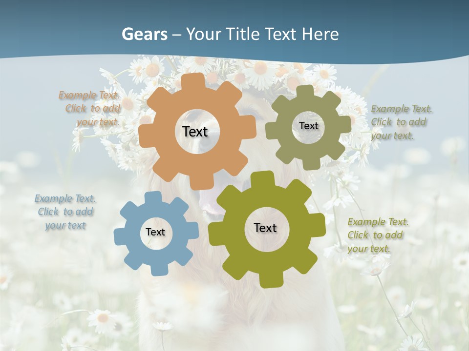 Single Lifestyle Sand PowerPoint Template