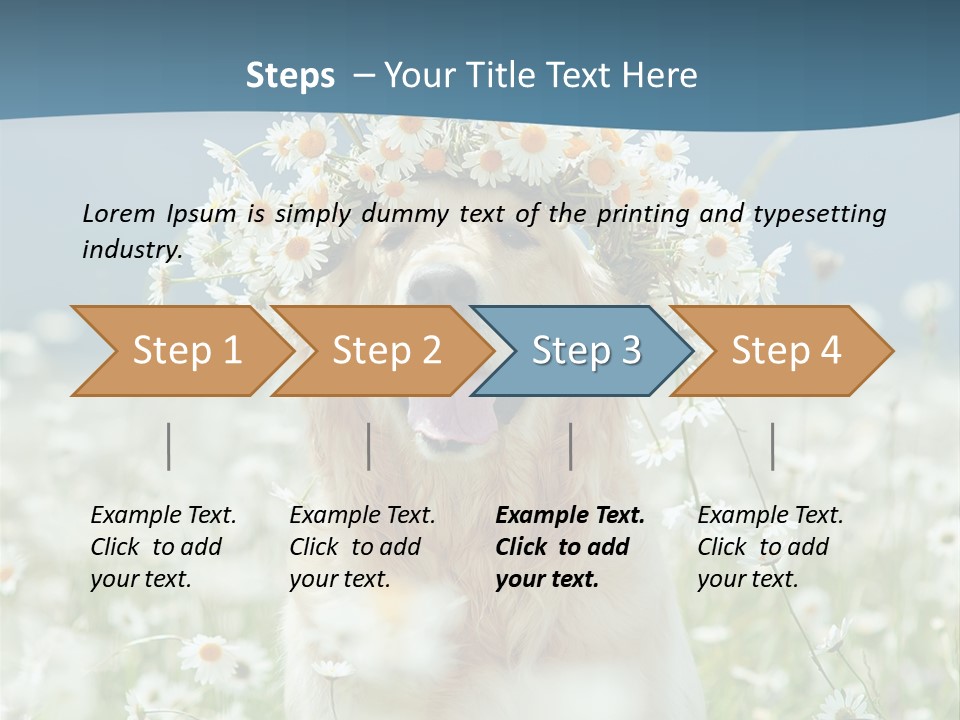 Single Lifestyle Sand PowerPoint Template