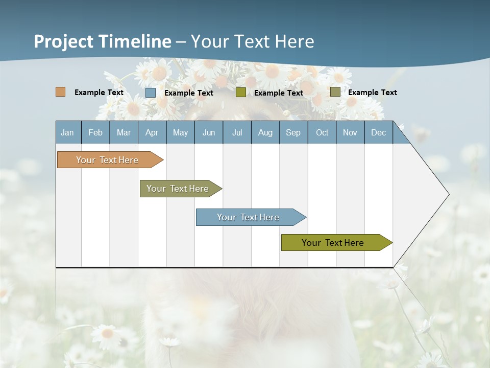 Single Lifestyle Sand PowerPoint Template