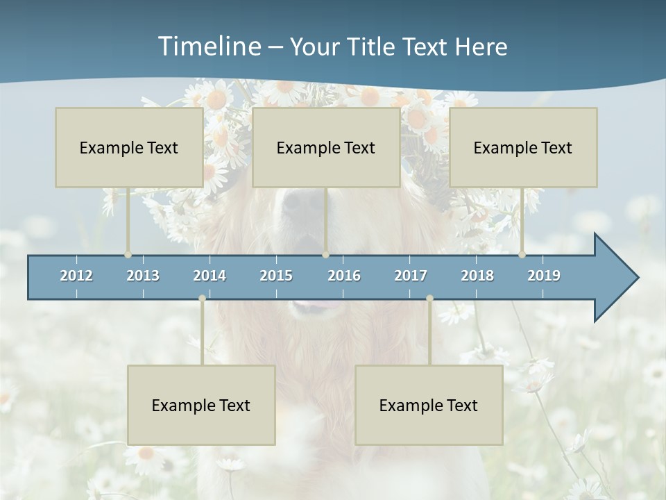 Single Lifestyle Sand PowerPoint Template