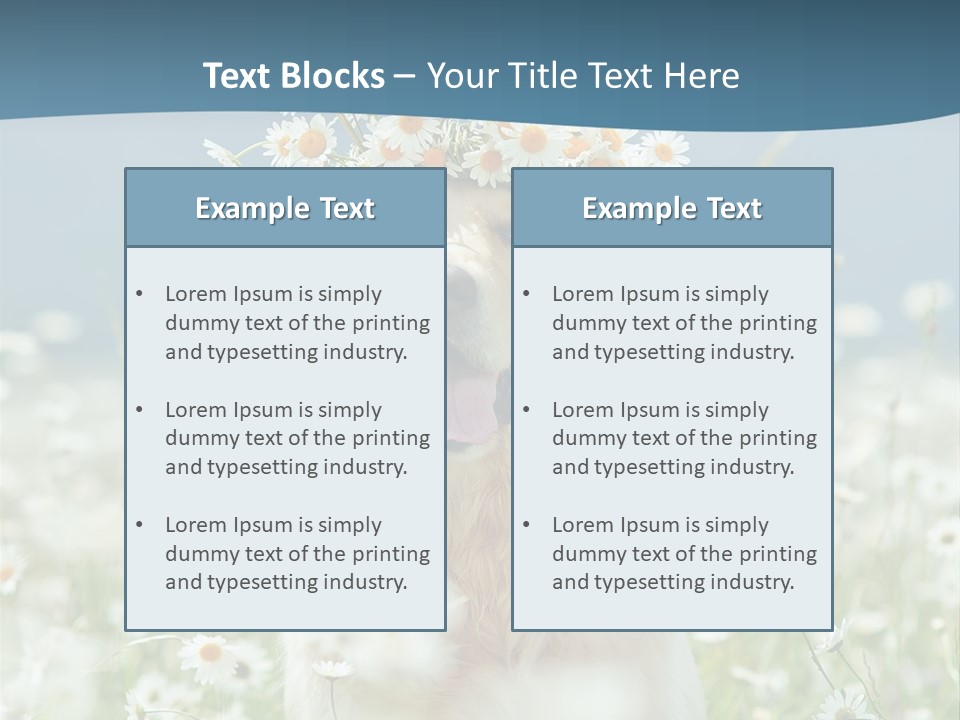 Single Lifestyle Sand PowerPoint Template
