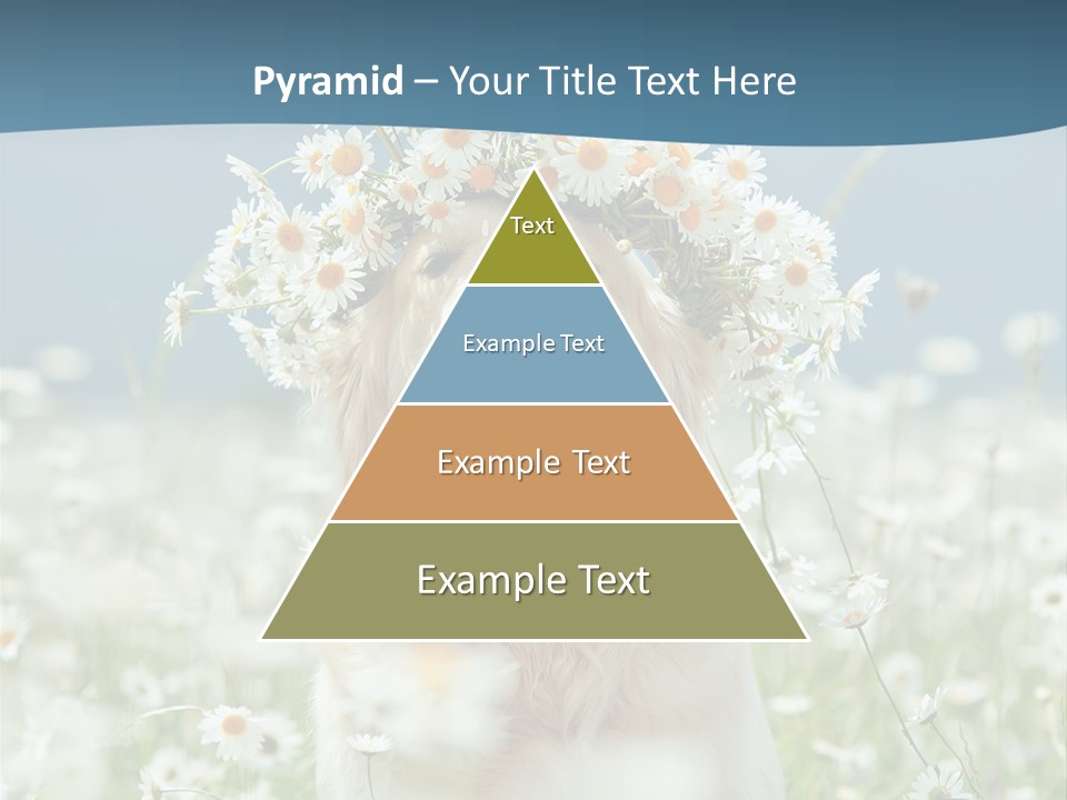 Single Lifestyle Sand PowerPoint Template