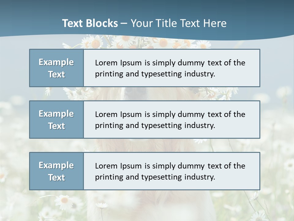 Single Lifestyle Sand PowerPoint Template