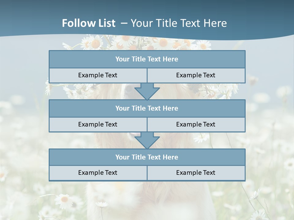 Single Lifestyle Sand PowerPoint Template