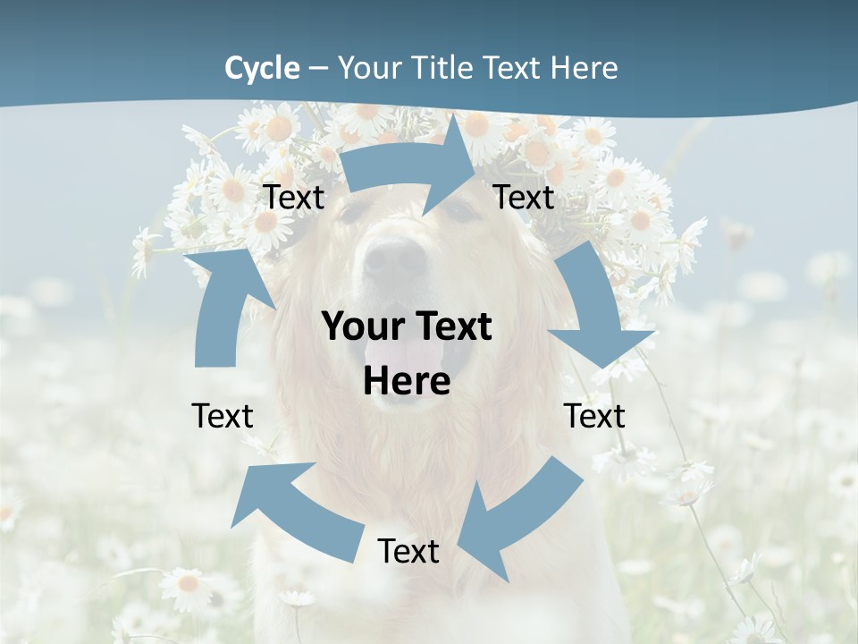Single Lifestyle Sand PowerPoint Template