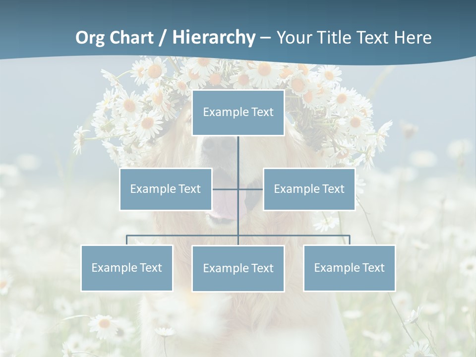 Single Lifestyle Sand PowerPoint Template