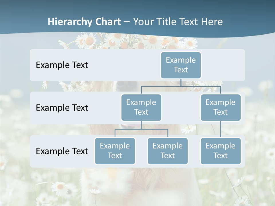 Single Lifestyle Sand PowerPoint Template