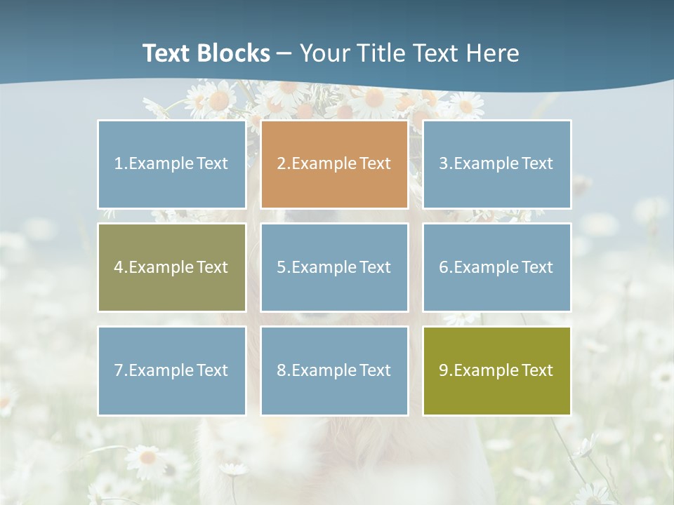 Single Lifestyle Sand PowerPoint Template
