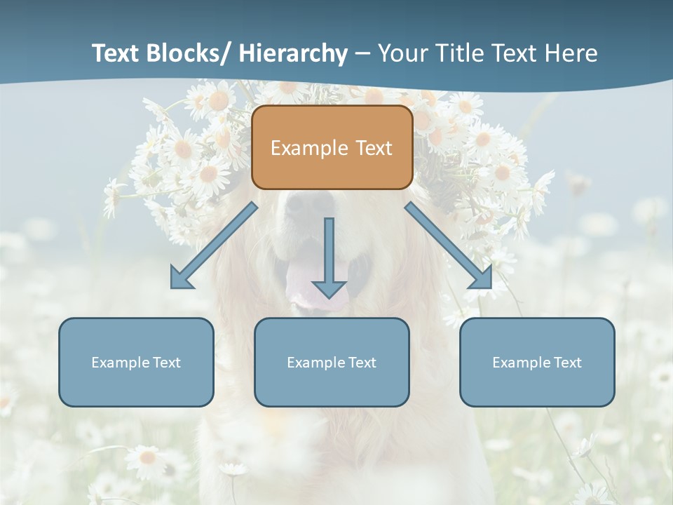 Single Lifestyle Sand PowerPoint Template