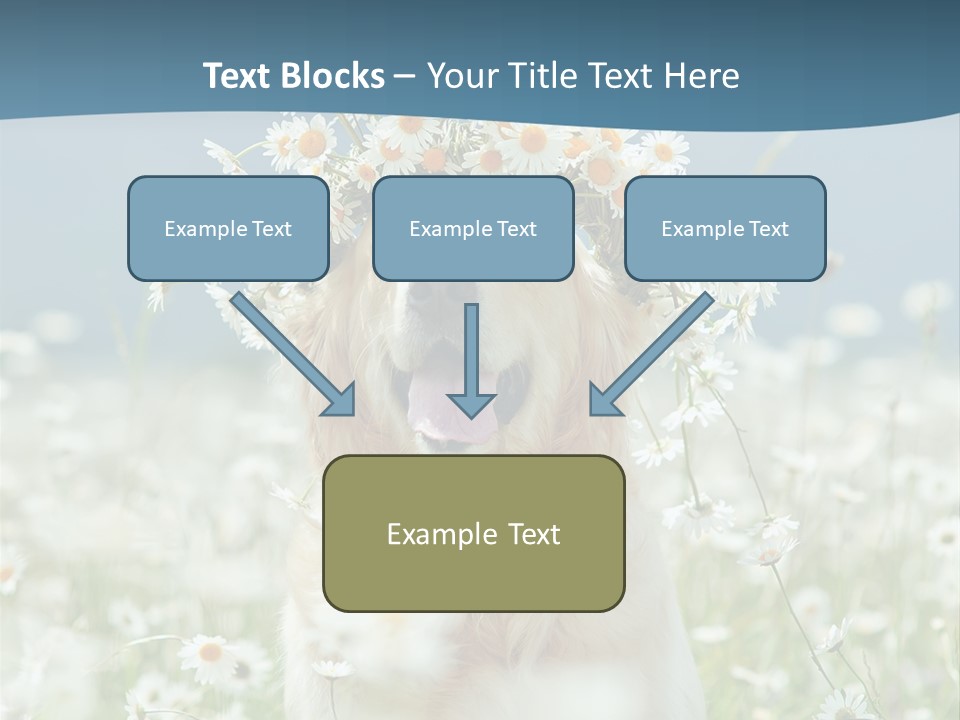 Single Lifestyle Sand PowerPoint Template
