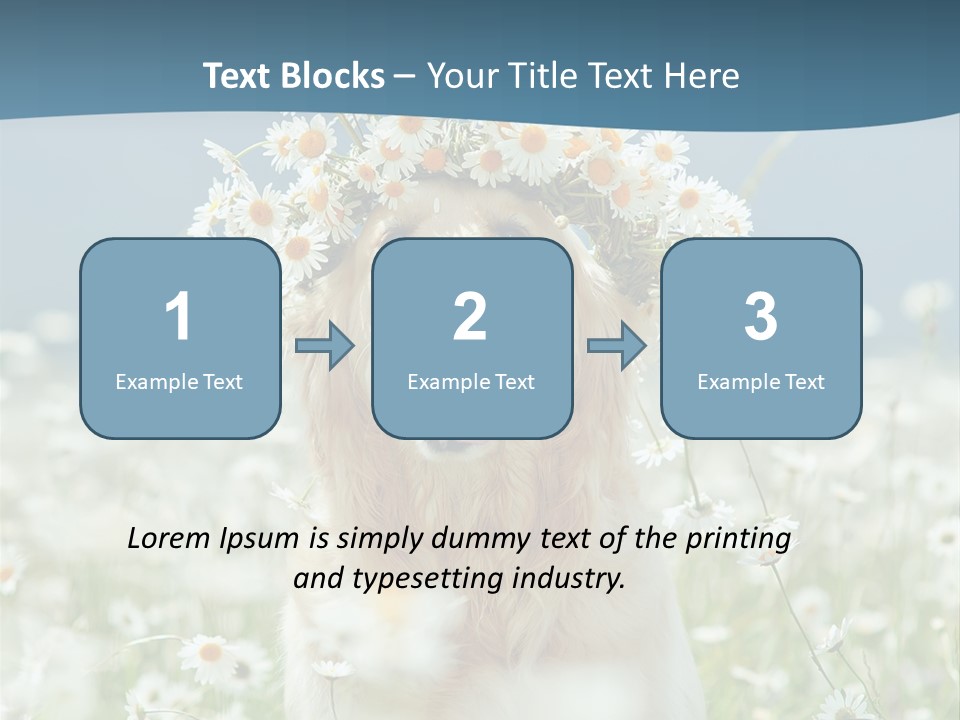 Single Lifestyle Sand PowerPoint Template