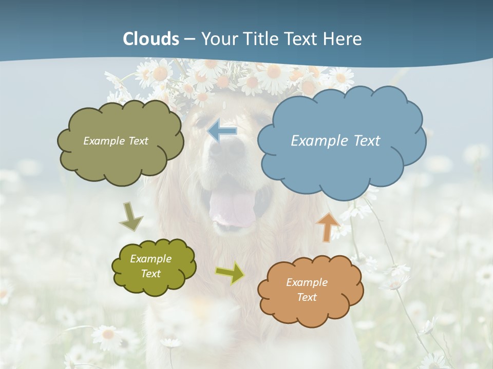 Single Lifestyle Sand PowerPoint Template