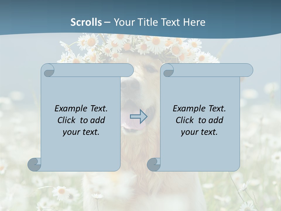 Single Lifestyle Sand PowerPoint Template