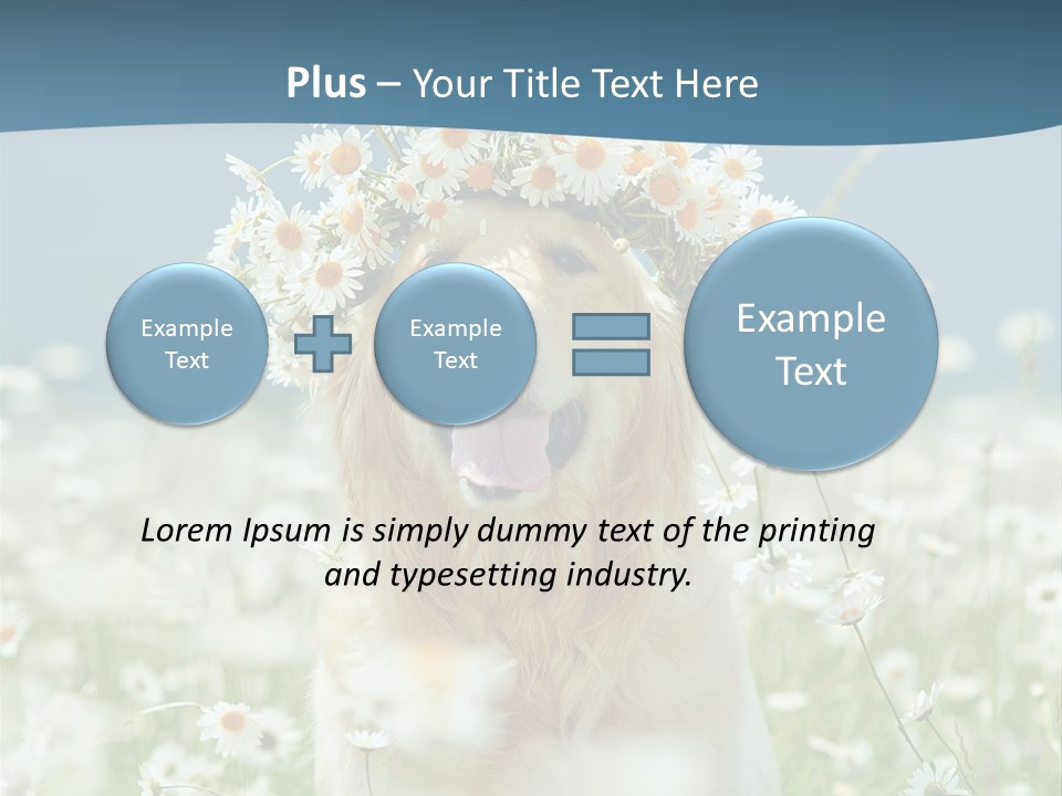 Single Lifestyle Sand PowerPoint Template